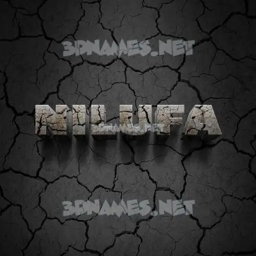 nilufa in Cracked Stone style - 3D name wallpaper nilufa in Cracked Stone style - 3D name wallpaper