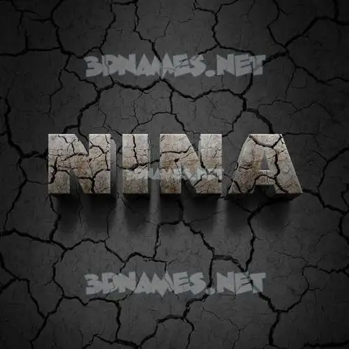 nina in Cracked Stone style - 3D name wallpaper