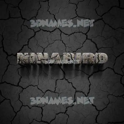 ninabird in Cracked Stone style - 3D name wallpaper