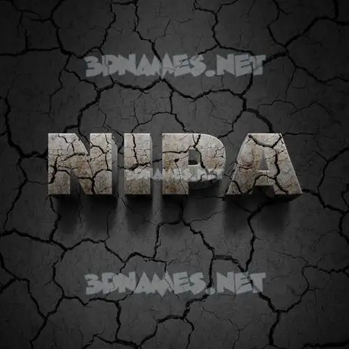 nipa in Cracked Stone style - 3D name wallpaper