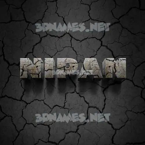 nipan in Cracked Stone style - 3D name wallpaper