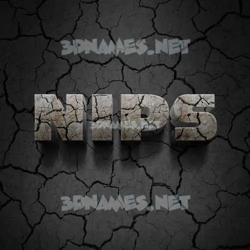 nips in Cracked Stone style - 3D name wallpaper nips in Cracked Stone style - 3D name wallpaper