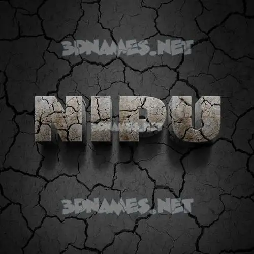 nipu in Cracked Stone style - 3D name wallpaper