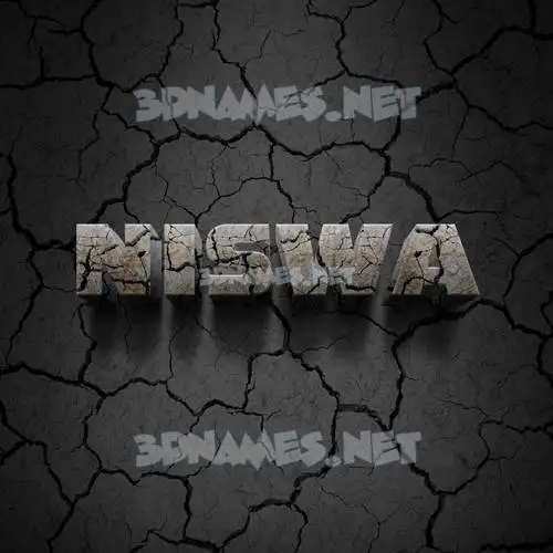 niswa in Cracked Stone style - 3D name wallpaper niswa in Cracked Stone style - 3D name wallpaper