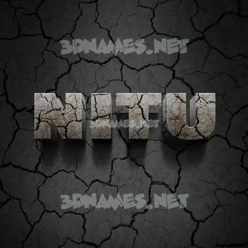 nitu in Cracked Stone style - 3D name wallpaper nitu in Cracked Stone style - 3D name wallpaper