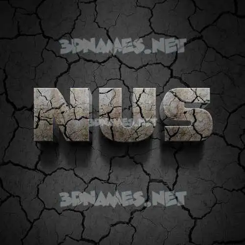 nus in Cracked Stone style - 3D name wallpaper
