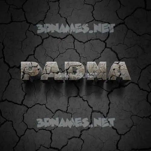 padna in Cracked Stone style - 3D name wallpaper padna in Cracked Stone style - 3D name wallpaper