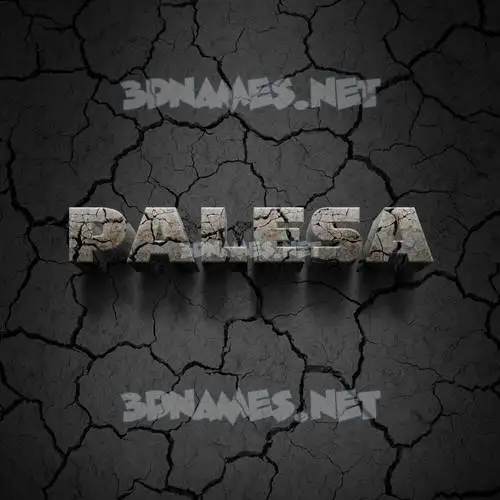 palesa in Cracked Stone style - 3D name wallpaper palesa in Cracked Stone style - 3D name wallpaper