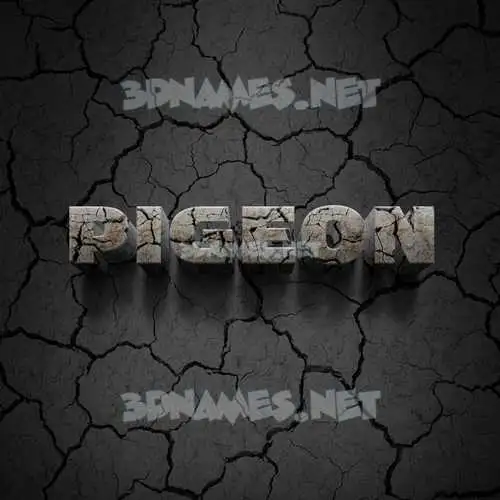 pigeon in Cracked Stone style - 3D name wallpaper