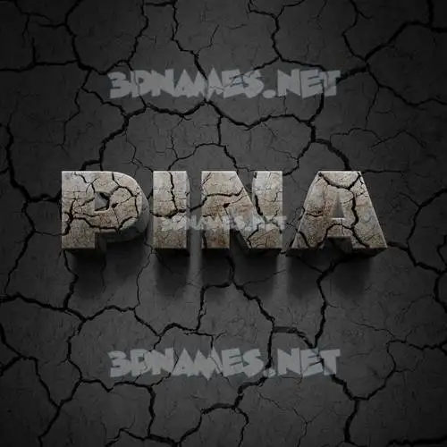 pina in Cracked Stone style - 3D name wallpaper