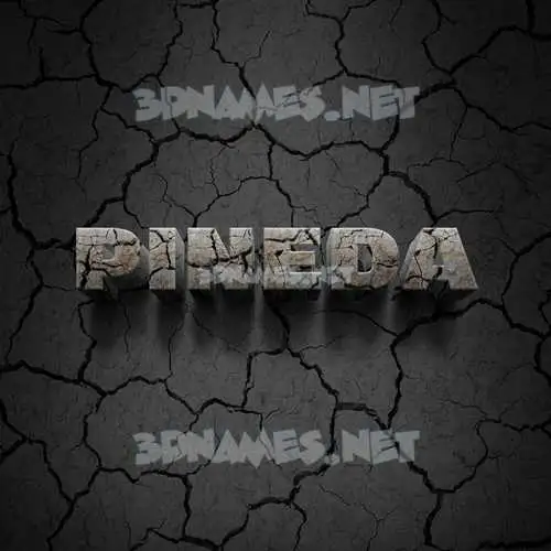 pineda in Cracked Stone style - 3D name wallpaper