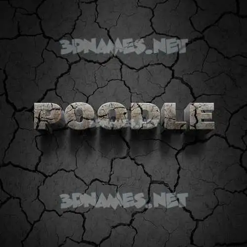 poodle in Cracked Stone style - 3D name wallpaper poodle in Cracked Stone style - 3D name wallpaper