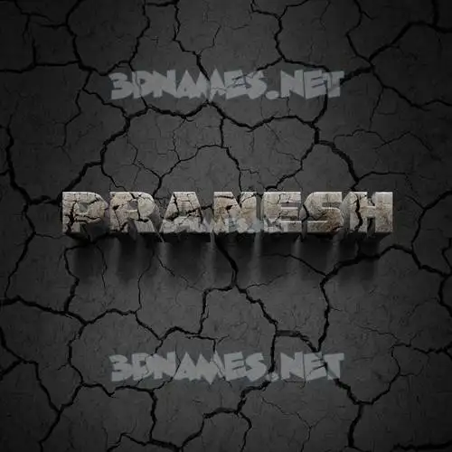 pranesh in Cracked Stone style - 3D name wallpaper pranesh in Cracked Stone style - 3D name wallpaper