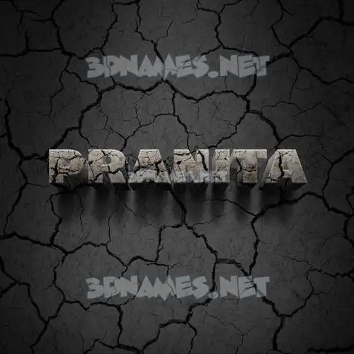 pranita in Cracked Stone style - 3D name wallpaper pranita in Cracked Stone style - 3D name wallpaper