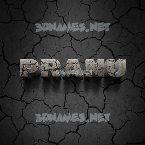 pranu in Cracked Stone style - 3D name wallpaper pranu in Cracked Stone style - 3D name wallpaper