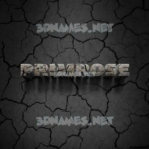 primrose in Cracked Stone style - 3D name wallpaper