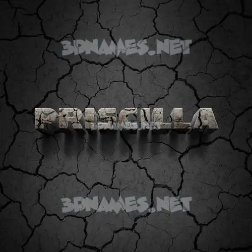 priscilla in Cracked Stone style - 3D name wallpaper priscilla in Cracked Stone style - 3D name wallpaper