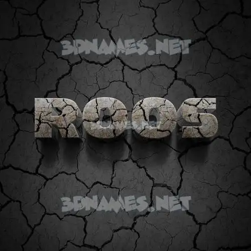 roos in Cracked Stone style - 3D name wallpaper