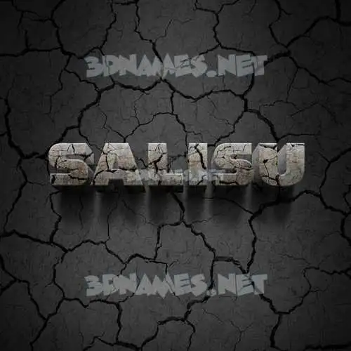 salisu in Cracked Stone style - 3D name wallpaper salisu in Cracked Stone style - 3D name wallpaper