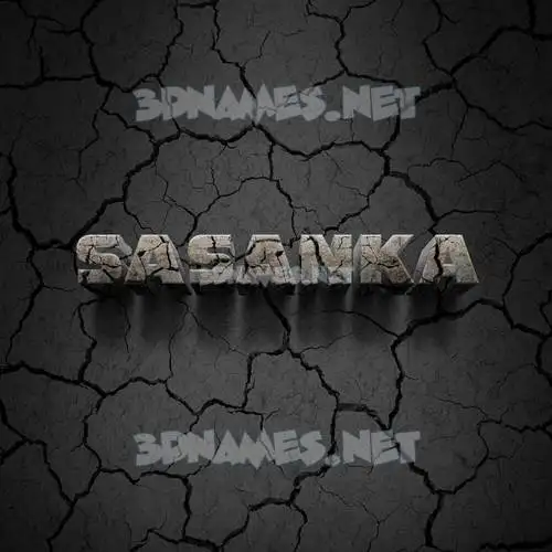 sasanka in Cracked Stone style - 3D name wallpaper sasanka in Cracked Stone style - 3D name wallpaper