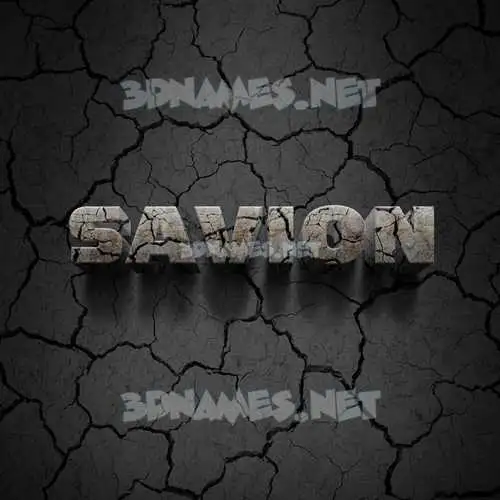 savion in Cracked Stone style - 3D name wallpaper savion in Cracked Stone style - 3D name wallpaper