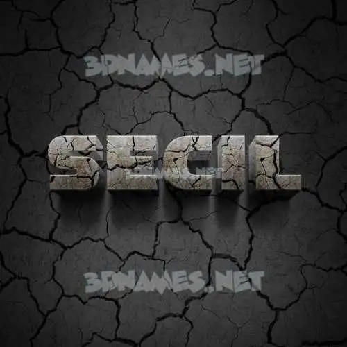 secil in Cracked Stone style - 3D name wallpaper secil in Cracked Stone style - 3D name wallpaper