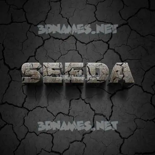 seeda in Cracked Stone style - 3D name wallpaper seeda in Cracked Stone style - 3D name wallpaper