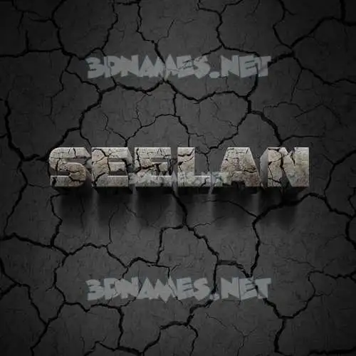 seelan in Cracked Stone style - 3D name wallpaper seelan in Cracked Stone style - 3D name wallpaper