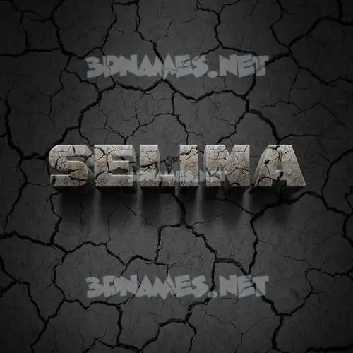 selina in Cracked Stone style - 3D name wallpaper selina in Cracked Stone style - 3D name wallpaper
