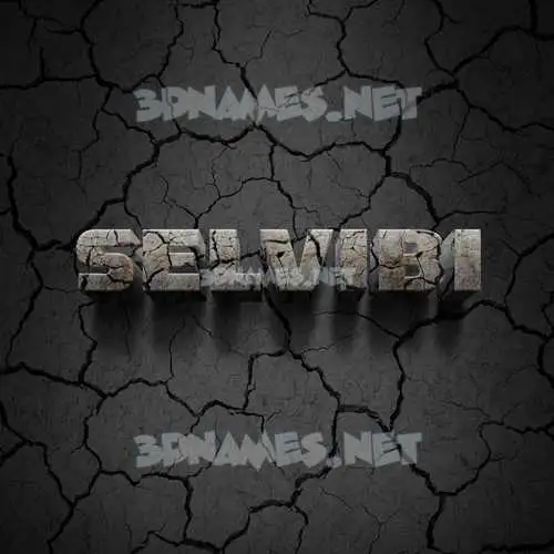 selvibi in Cracked Stone style - 3D name wallpaper selvibi in Cracked Stone style - 3D name wallpaper