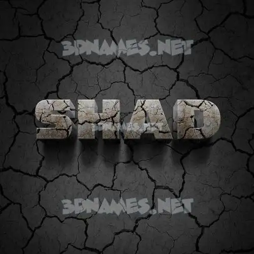 shad in Cracked Stone style - 3D name wallpaper shad in Cracked Stone style - 3D name wallpaper