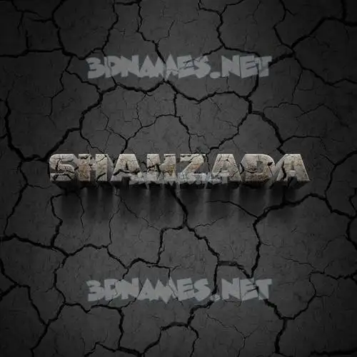 shahzada in Cracked Stone style - 3D name wallpaper