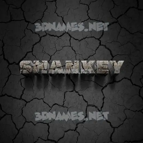 shankey in Cracked Stone style - 3D name wallpaper shankey in Cracked Stone style - 3D name wallpaper
