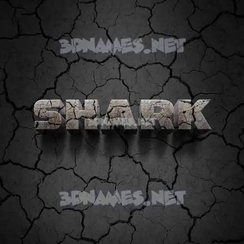 shark in Cracked Stone style - 3D name wallpaper shark in Cracked Stone style - 3D name wallpaper