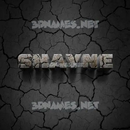 shayne in Cracked Stone style - 3D name wallpaper shayne in Cracked Stone style - 3D name wallpaper