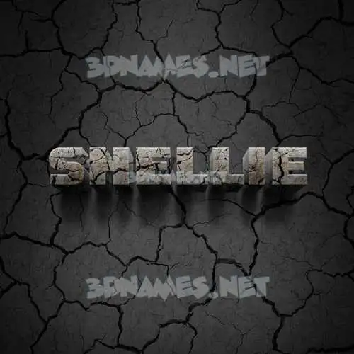 shellie in Cracked Stone style - 3D name wallpaper shellie in Cracked Stone style - 3D name wallpaper