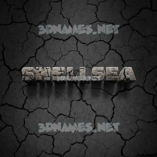 shellsea in Cracked Stone style - 3D name wallpaper shellsea in Cracked Stone style - 3D name wallpaper