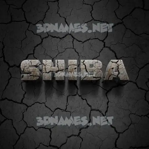 shiba in Cracked Stone style - 3D name wallpaper shiba in Cracked Stone style - 3D name wallpaper