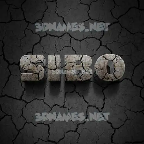 sibo in Cracked Stone style - 3D name wallpaper