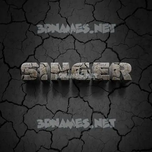 singer in Cracked Stone style - 3D name wallpaper singer in Cracked Stone style - 3D name wallpaper