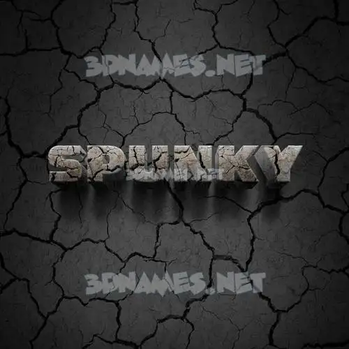 spunky in Cracked Stone style - 3D name wallpaper spunky in Cracked Stone style - 3D name wallpaper