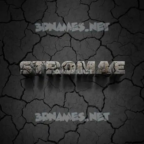 stromae in Cracked Stone style - 3D name wallpaper
