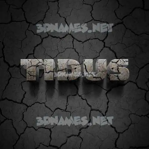 tidus in Cracked Stone style - 3D name wallpaper tidus in Cracked Stone style - 3D name wallpaper