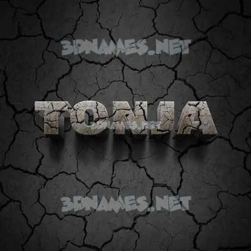 tonja in Cracked Stone style - 3D name wallpaper tonja in Cracked Stone style - 3D name wallpaper