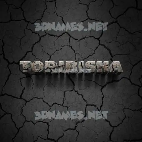 toribisha in Cracked Stone style - 3D name wallpaper toribisha in Cracked Stone style - 3D name wallpaper
