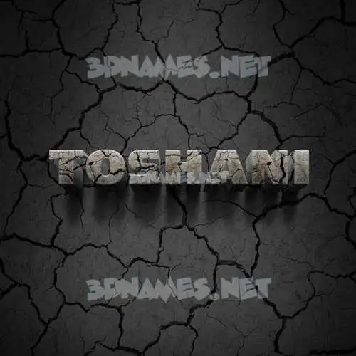 toshani in Cracked Stone style - 3D name wallpaper toshani in Cracked Stone style - 3D name wallpaper