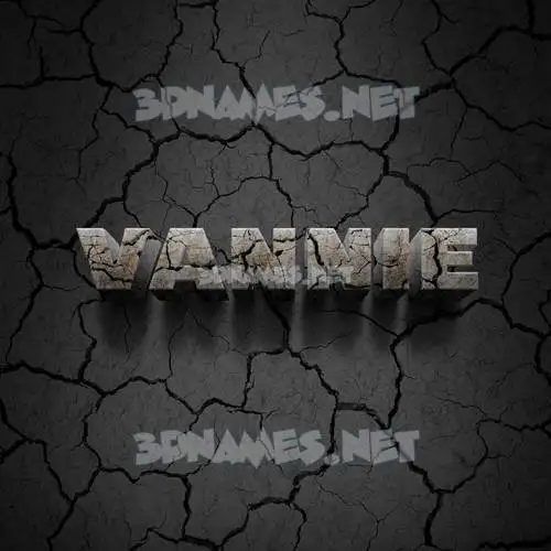 vannie in Cracked Stone style - 3D name wallpaper vannie in Cracked Stone style - 3D name wallpaper