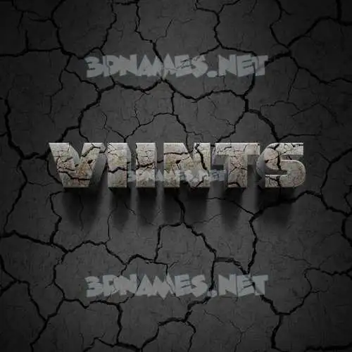 viints in Cracked Stone style - 3D name wallpaper viints in Cracked Stone style - 3D name wallpaper