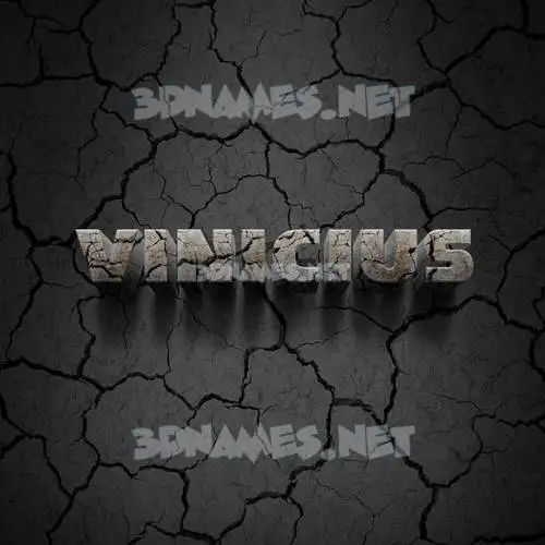 vinicius in Cracked Stone style - 3D name wallpaper vinicius in Cracked Stone style - 3D name wallpaper
