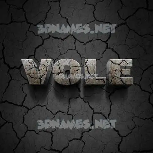 vole in Cracked Stone style - 3D name wallpaper vole in Cracked Stone style - 3D name wallpaper